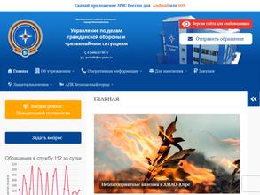 Единая дежурно-диспетчерская служба