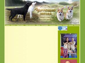 Чарующая звезда