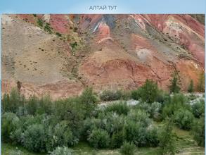 Алтай тут