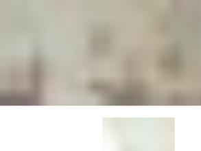 Локо студио