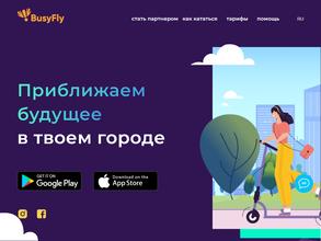 BusyFly