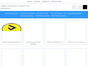 Дженерал сэйфити