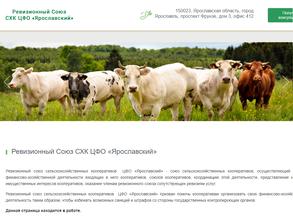 Ревизионный союз сельскохозяйственных кооперативов Центрального федерального округа Ярославский