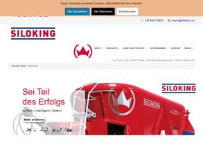 Силокинг Русь