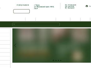 Евровагонка на Московском