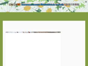 Средняя общеобразовательная школа №163