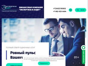 Экспертиза и аудит