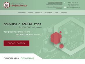 Профессионал