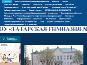 Татарская гимназия №65