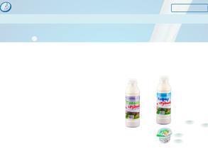 Новое время