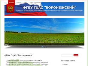 Воронежский