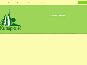 Кипарис 48