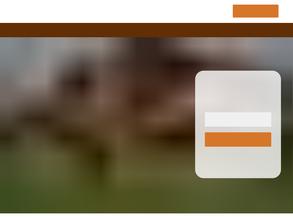 Строительная компания