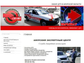 Амурский экспертный центр