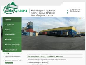 Контейнерный терминал Купавна