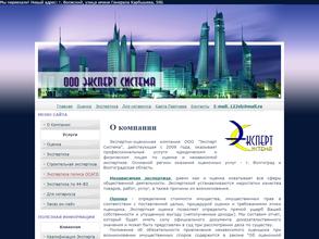 Эксперт система