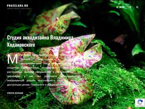 Студия аквадизайна