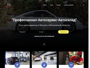 Профессионал-Автосервис-Автосклад