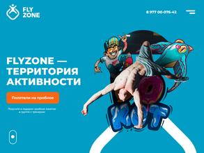 FlyZone