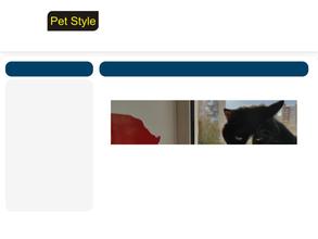 Pet style