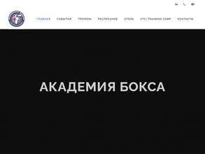 Академия бокса Александра Лебзяка