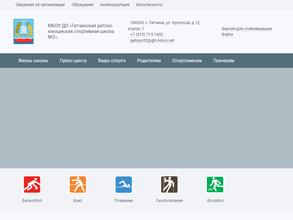 Гатчинская детско-юношеская спортивная школа № 2