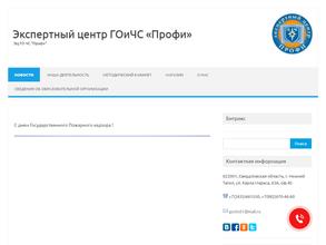 ГО и ЧС Профи