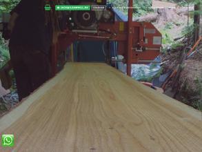 Лесопилка Джека Ламбера