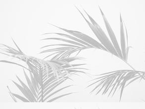 Ничего Лишнего