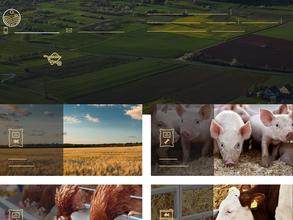 БиоПромКорм