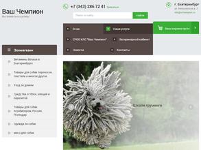 Ваш Чемпион