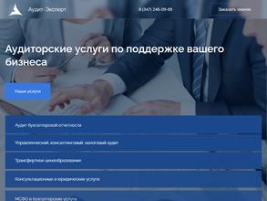 Аудит-Эксперт