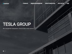 Tesla group