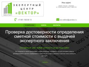 Экспертный центр Вектор