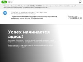 Воробьевы горы