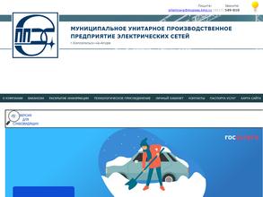 Предприятие электрических сетей