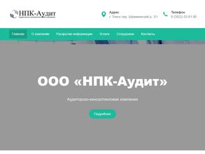 Нпк-аудит