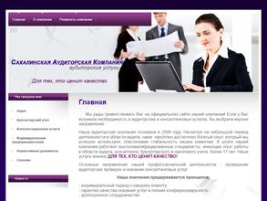 Сахалинская аудиторская компания