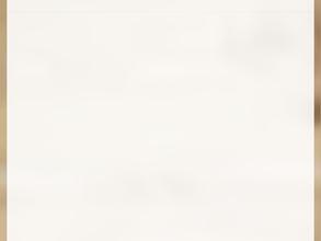 Все на Плот