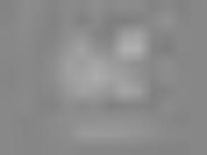 Детский сад Радуга