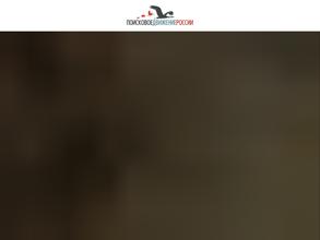 Поисковое движение россии