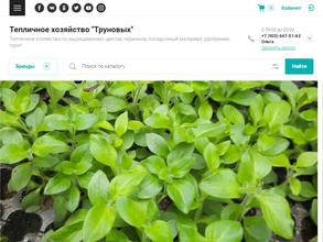 Тепличное хозяйство