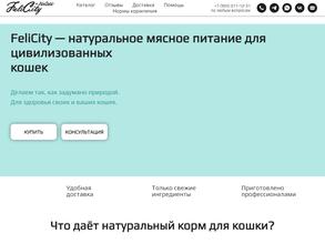 Фелисити холистик