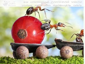 Комплексные логистические решения