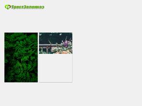 Псковское городское цветочное хозяйство