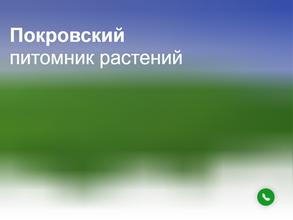 Покровский