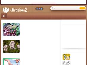 Ультрастом-2