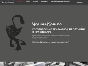 Черная кошка