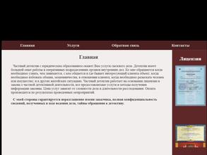 Частный детектив