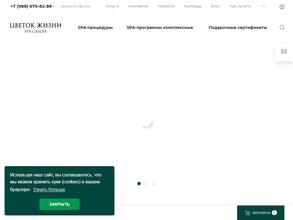 Цветок Жизни